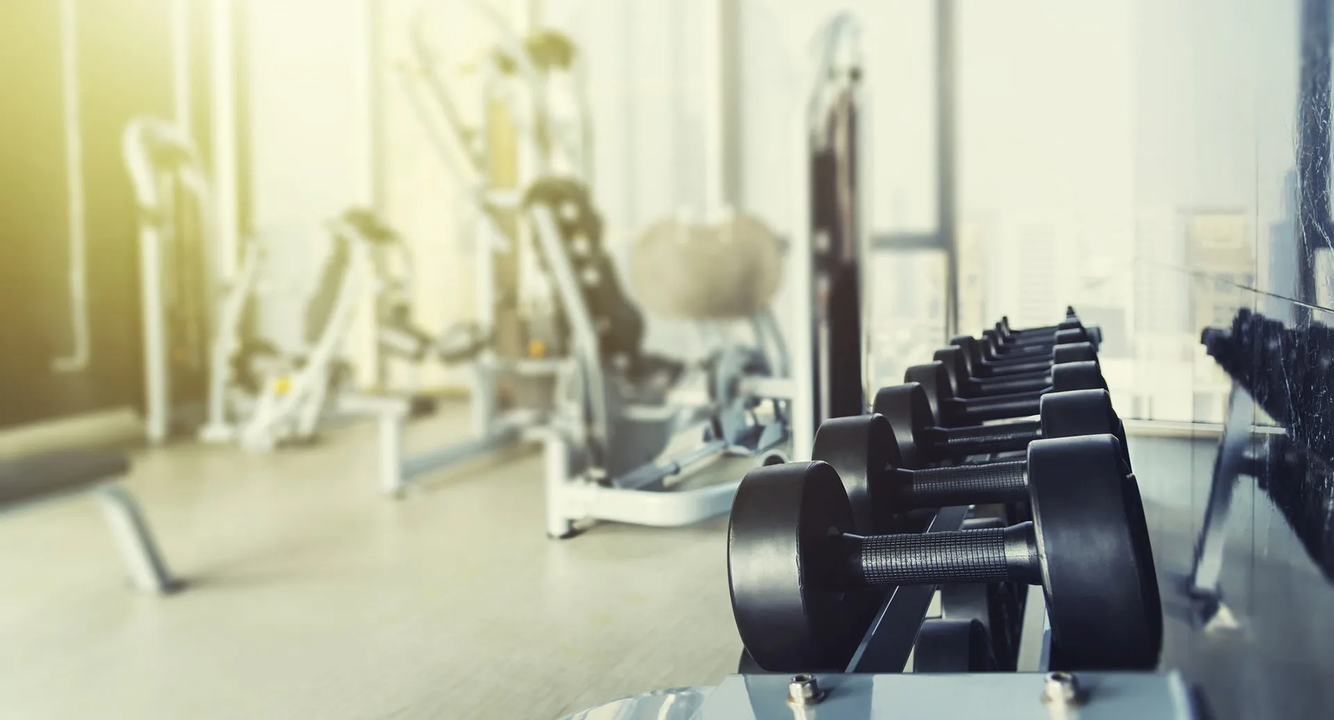 Dumbbells on a rack in the gym